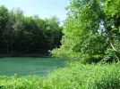 IMG_1684.webp