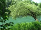 IMG_1685.webp