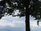 20170527_165525.webp