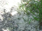 IMG_1815.webp