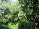 IMG_1798.webp