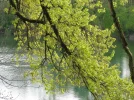 IMG_1221.webp