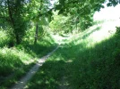 IMG_1682.webp