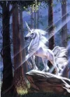 einhorn33.webp