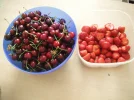 DSCF9717.webp