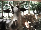 DSCF9751.webp