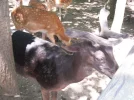 DSCF9758 (2).webp