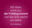 Zen-WEisheit (2).webp
