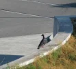 IMG_1908 (3).webp