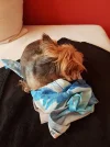 20170619_203650.webp