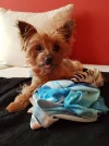20170619_203716.webp