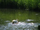 IMG_1633.webp