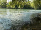 DSCN3672.webp