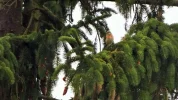 DSCF0441 (2).webp