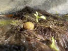 DSCN3682.webp