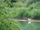 IMG_1917.webp