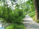 IMG_1914.webp