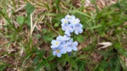 20170613_153132.webp