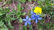 20170613_153127.webp