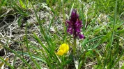 20170613_150504.webp