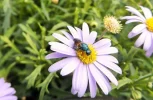 DSCF0449 (5).webp