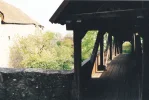 R..webp