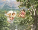 229420.webp