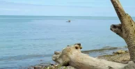DSCF7305 (2).webp