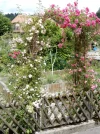 003.webp