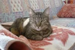 FullSizeRender 20.webp