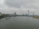 P1070481.webp