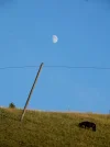 002.webp