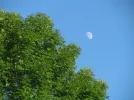 IMG_2000.webp