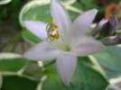 DSCN7153.webp