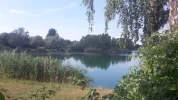 20170707_173722.webp