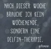 Delphin Therapie.jpg