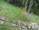 IMG_2018 (2).webp