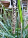DSCN8466.webp