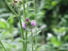 IMG_2044.webp