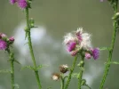 IMG_2054.webp