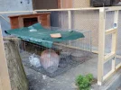 003.webp