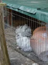 002.webp