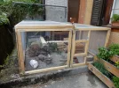 003.webp