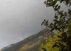 DSCN3715 (2).webp