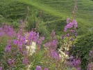DSCN3765.webp
