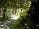 DSCN3721.webp