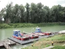 DSCF9938.webp