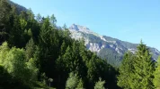 20170618_172121.webp