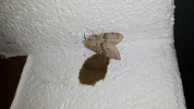 20170721_213509.webp