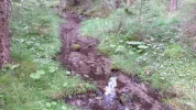 20170722_175945.webp